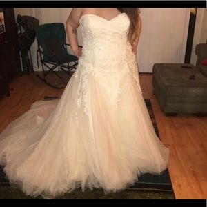 Alfred Angelo Plus size wedding gown